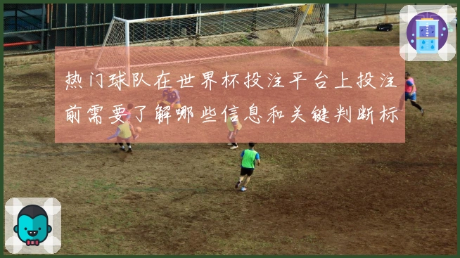 热门球队在世界杯投注平台上投注前需要了解哪些信息和关键判断标准