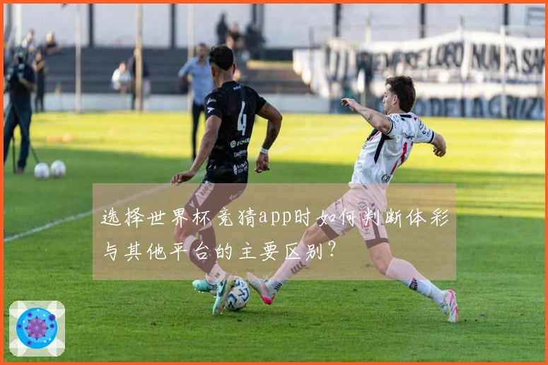 选择世界杯竞猜app时如何判断体彩与其他平台的主要区别？