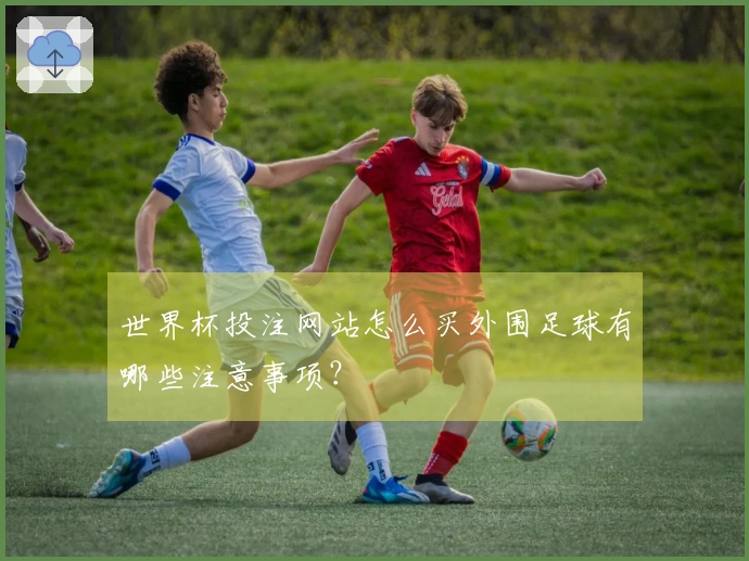 世界杯投注网站怎么买外围足球有哪些注意事项？