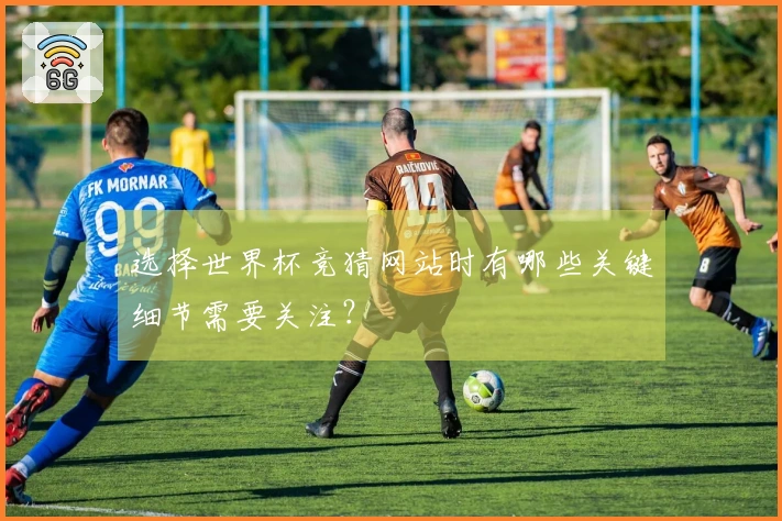 选择世界杯竞猜网站时有哪些关键细节需要关注？
