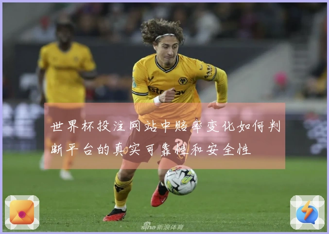 世界杯投注网站中赔率变化如何判断平台的真实可靠性和安全性